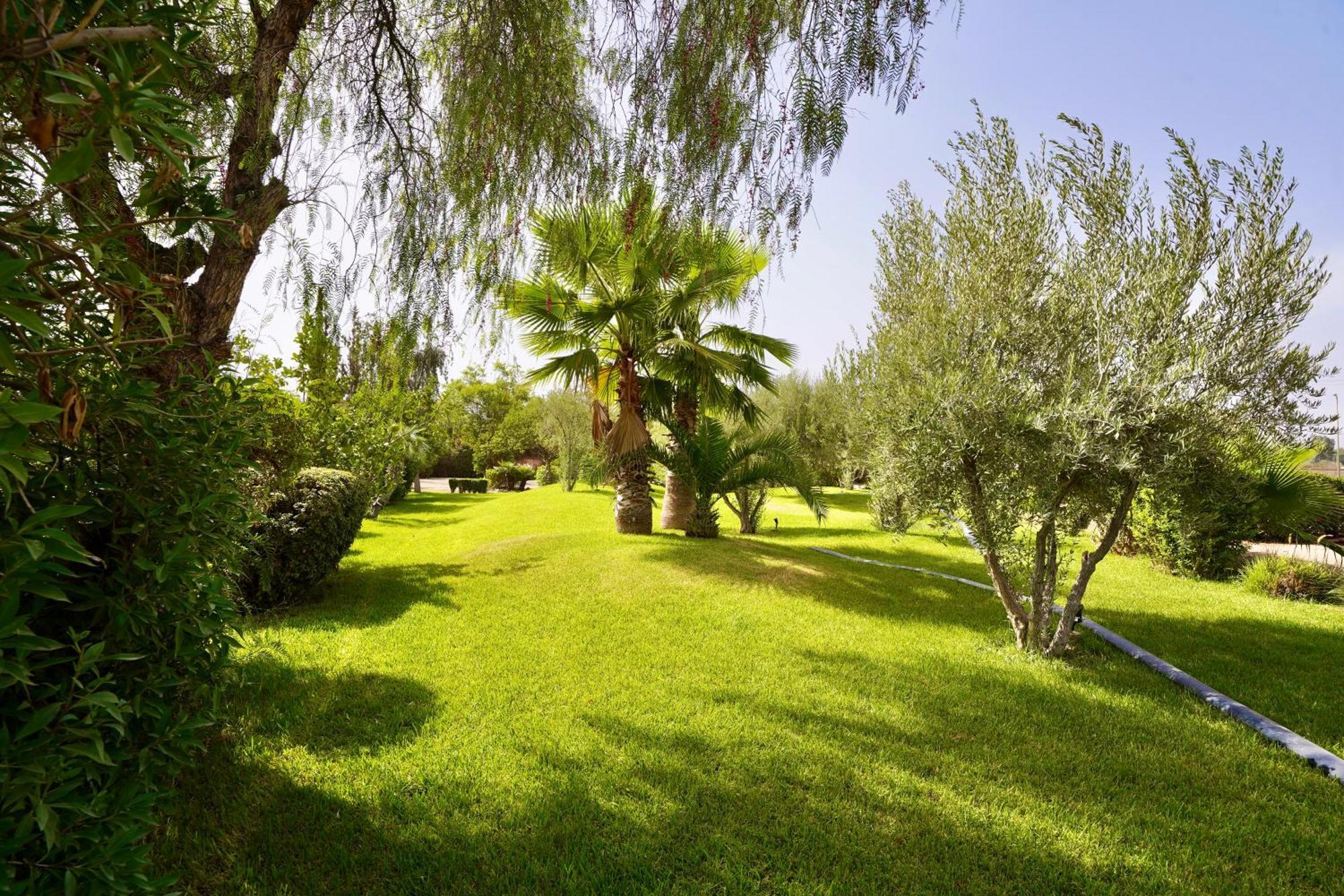 Ourika Camp Suites Hotel & Resort El Harkat ภายนอก รูปภาพ